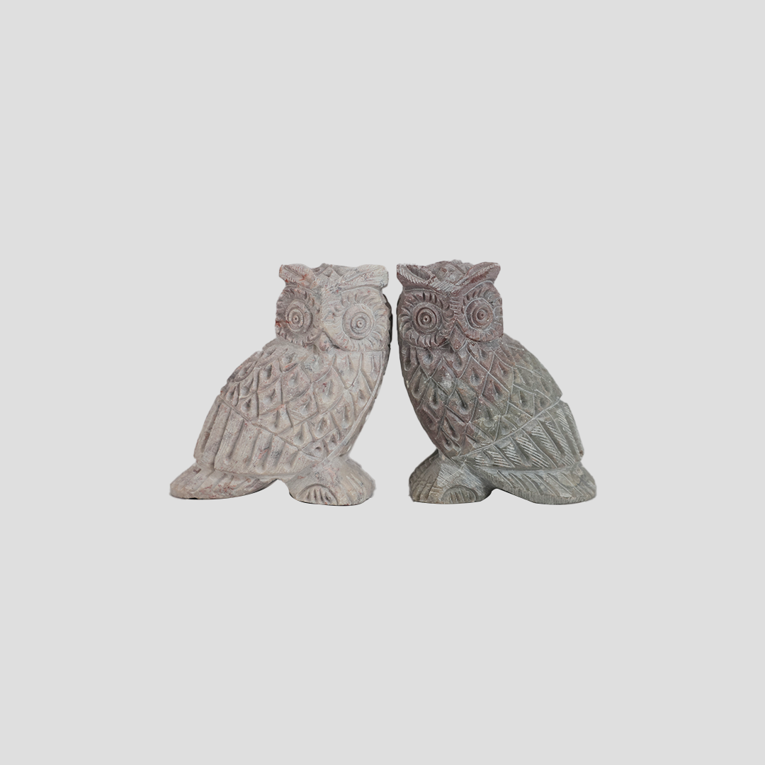 Marble color Changing owl